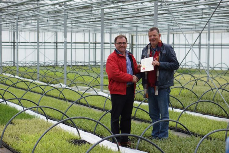 Foto: de patent overhandiging van Reinier van Rijssen, Plantipp (rechts) aan veredelaar Pat Fitzgerald, Fitzgerald Nurseries (links) 