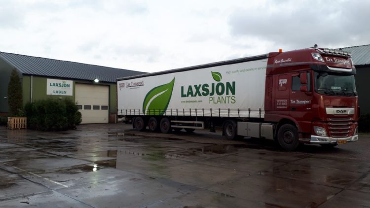 Foto: Laxsjon Plants